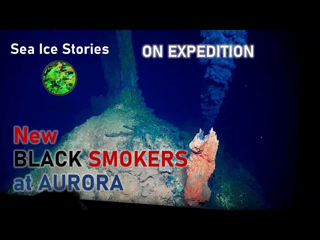 New BLACK SMOKERS at Aurora