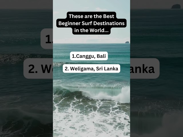 These are the Best Beginner Surf Destinations in the World #shorts
