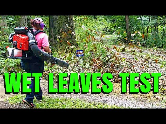 Best Leaf Blower Test