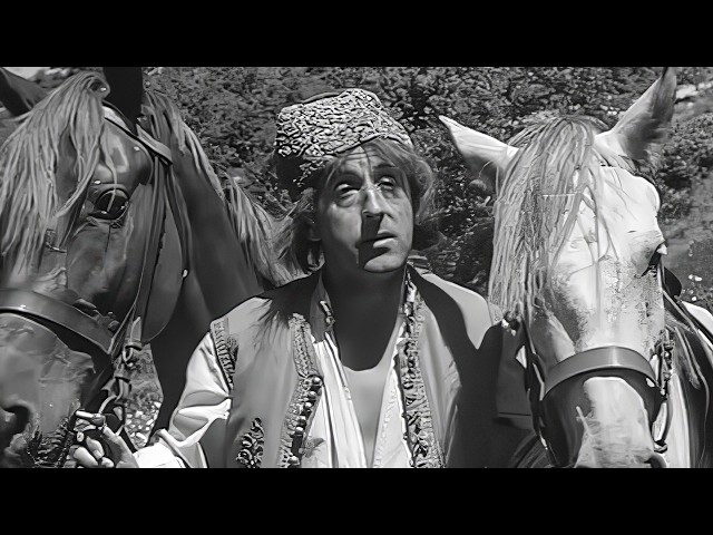 Le roi des montagnes (1962) un film de Willy Rozier