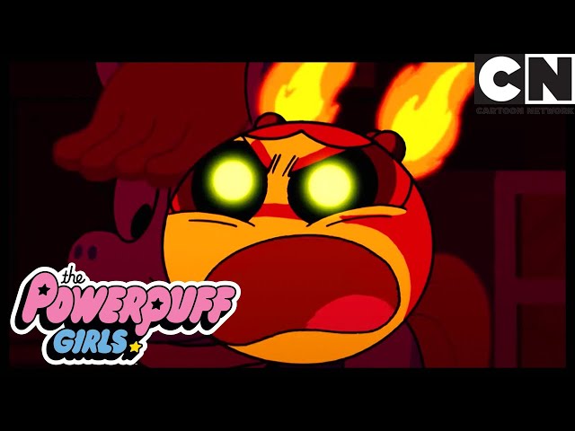 FIRED UP! COMPILATION | Powerpuff Girls | Cartoon Network