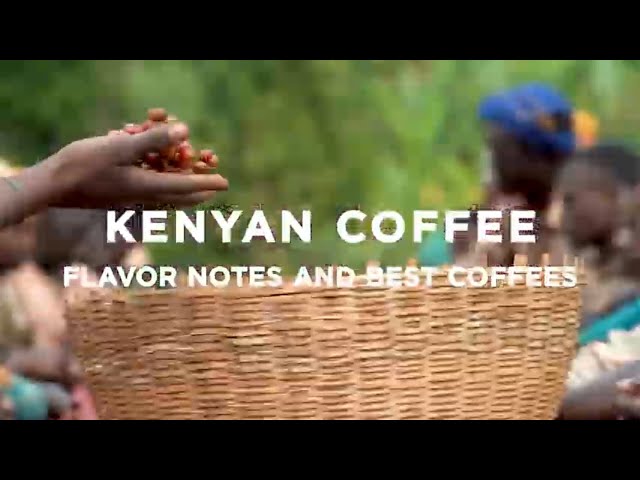 Kenyan Coffee: Flavor Notes and Best Coffees