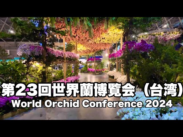 2024 23rd World Orchid Expo Held once every three years, this year it was held in Taiwan .subscribe