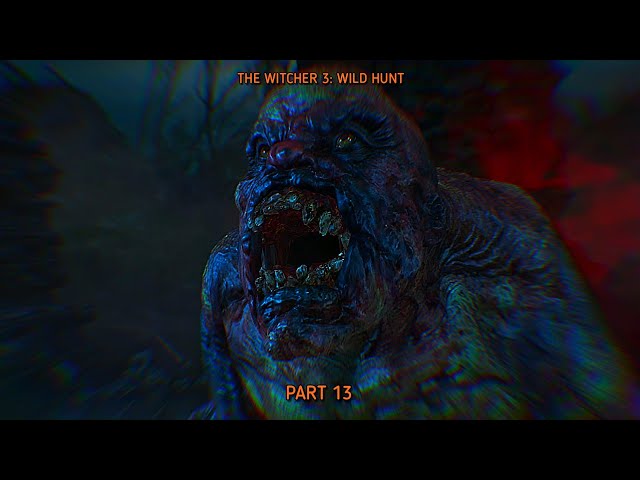 BOTCHLING BOSS FIGHT | The Witcher 3 Part 13