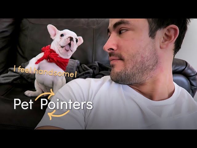 Socializing Puppies & Kittens | Pet Pointers