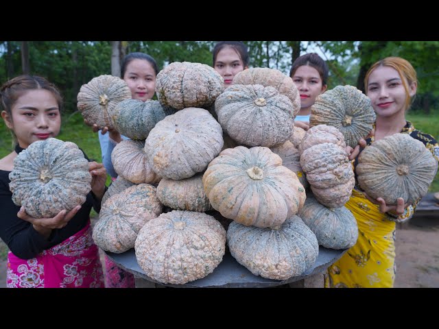 How to make Pumpkin custard recipe and eat - Amazing video