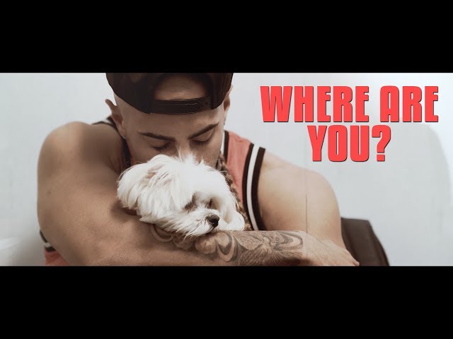 Where Are You Yousef? (Official Song)