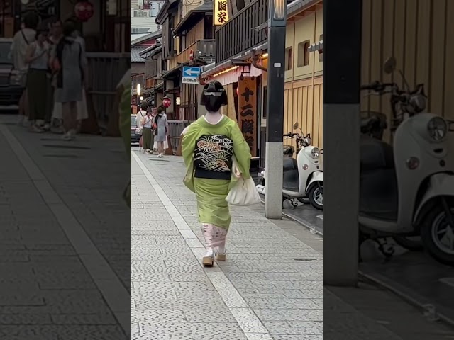 花見小路を往く芸妓さん #京都 #芸者