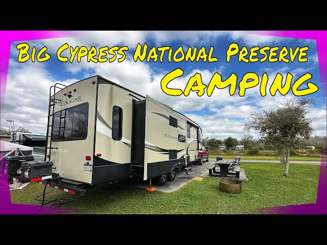 Big Cypress National Preserve Camping | An Overview