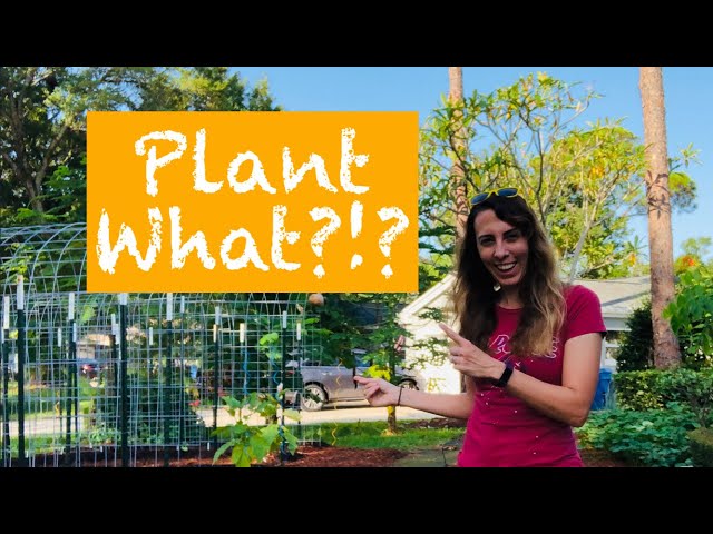 Before you grow your own food, WATCH THIS! | Edible Garden Planner