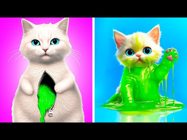 Oh No! What Happened To This Cute Kitten  *Crazy Cat Hacks And Gadgets For Pet Owners*