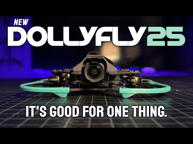 GOOD FOR 1 THING - Sub250 DollyFly 25 Cinewhoop - REVIEW & FLIGHTS