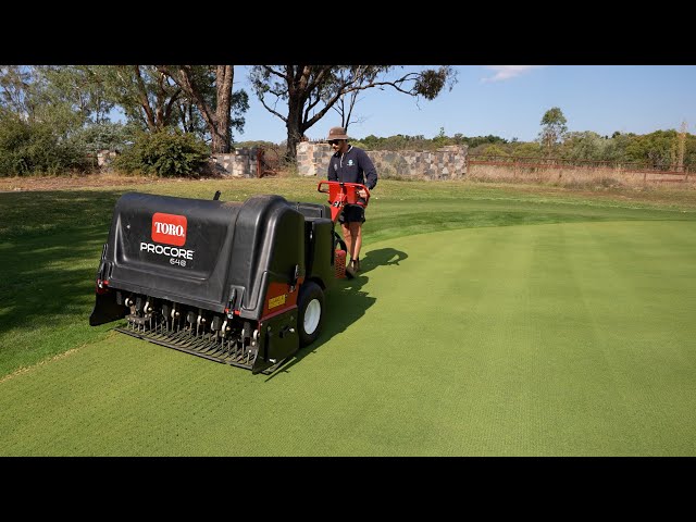 Full Lawn Renovation // Aeration, Dethatch and Topdress with Sand