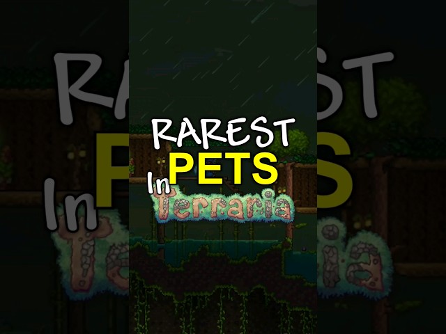 How to get the RAREST pets in Terraria