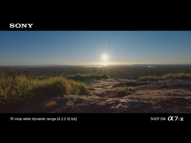 "Tinbeerwah" | Shot on Alpha 7S III |  Sony x Den Lennie | α