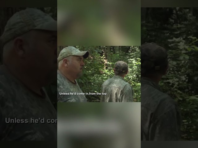 Mark and Huck Track A Trespasser With Bear Scent #moonshiners  #shorts