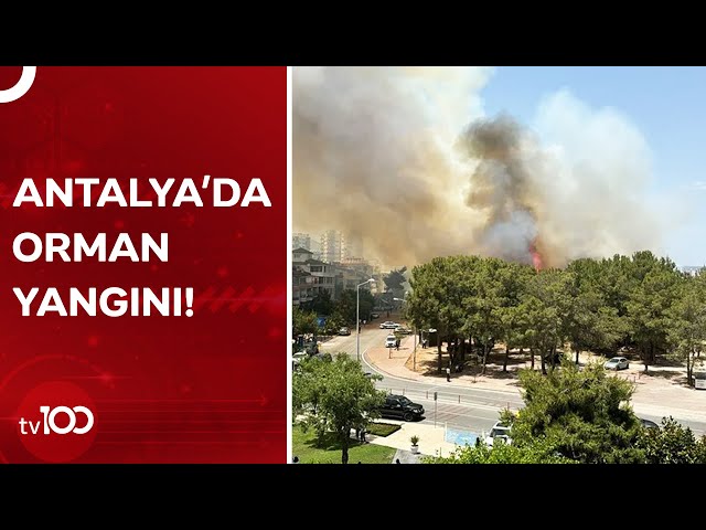 Antalya Konyaaltı'nda Yerleşim Yerlerine Yakın Alanda Yangın Çıktı | TV100 Haber