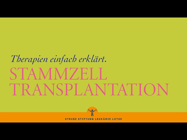 Stammzelltransplantation für Betroffene einfach erklärt | Leukämie Lotse