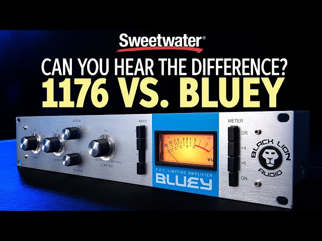 1176 vs. Bluey — Can You Hear the Difference?