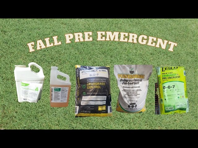 Fall preemergent herbicide applications for bermuda lawns