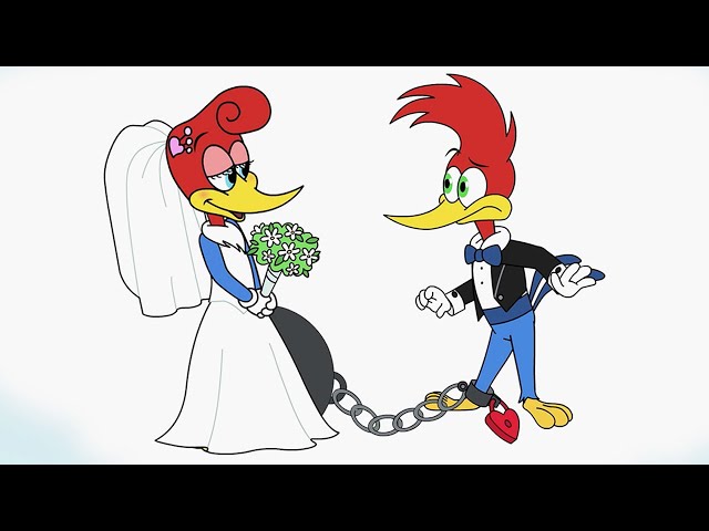 1 Hour of Woody Woodpecker | Woody Doesn't Want to Get Married + More Full Episodes