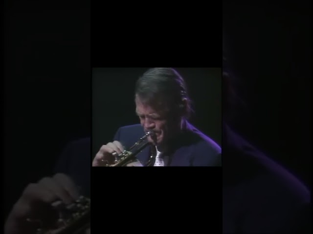 Chet Baker play solo. "Chet Baker in Tokyo" (1987) #jazz #music #chetbaker #trumpet