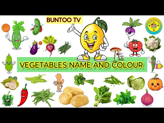 Vegetable Names With Pictures|Different Types Of Vegetable|Green Vegetable|#vegetable#kids #BUNTOOTV