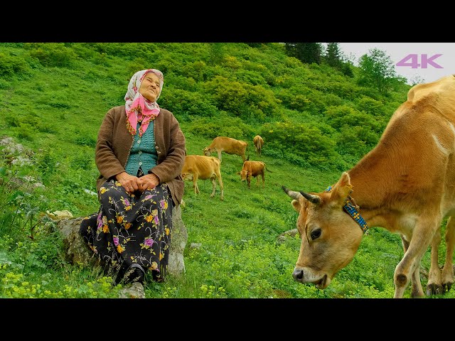 Life in the Highland - Nuriye Granny and Her Grandchildren | Documentary ▫️4K▫️