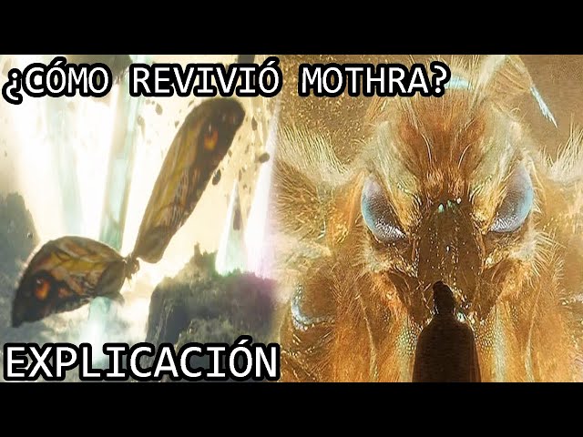 ¿Cómo Revivió Mothra en Godzilla x Kong El Nuevo Imperio? Explicación | El Regreso de Mothra en GxK