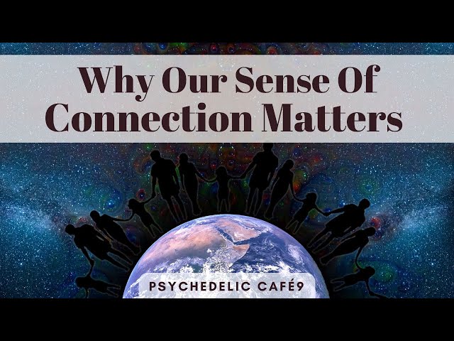 Why Our Sense of Connection Matters | Psychedelic Café 9