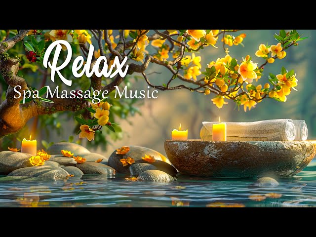 Beautiful Spa and Massage Music - Relaxing Zen Music, Stress Relief Music, Sleep, Meditation , Study