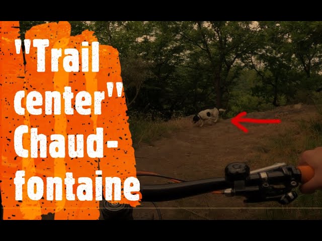 "trailcenter" Chaudfontaine Enduro MTB trails gpx & Attacken Hund & Stock