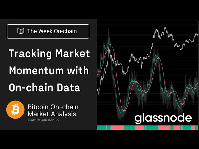 Tracking Market Momentum with On-chain Data - The Week On-chain 6, 2024 (Bitcoin Onchain Analysis)