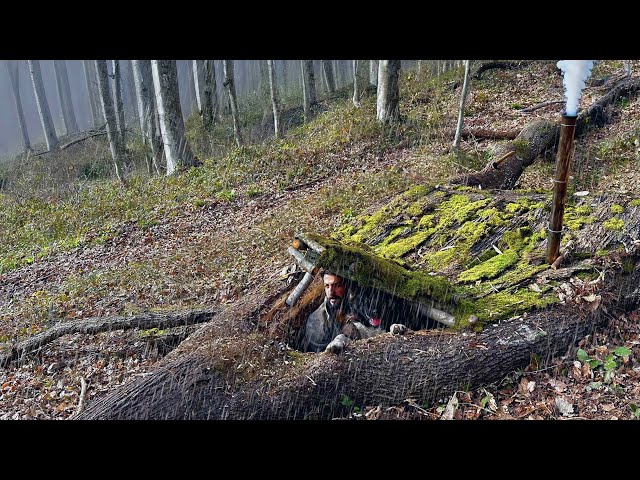 Building a SECRET SHELTER inside Big TREE - Bushcraft SURVIVAL Camping in the Rain with My Dog