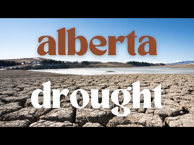 Alberta Drought - Has the Recent Snow Helped?
