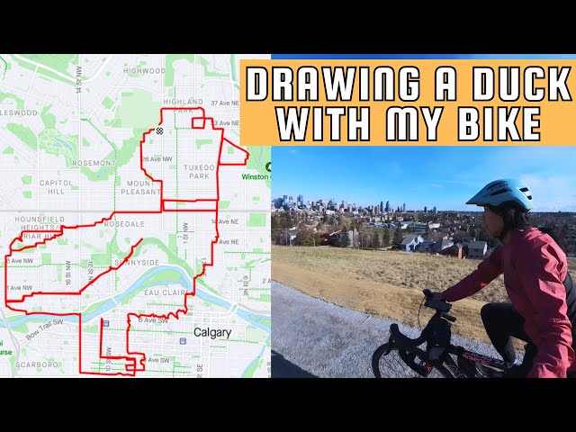 Biking a Duck - Calgary City Adventures