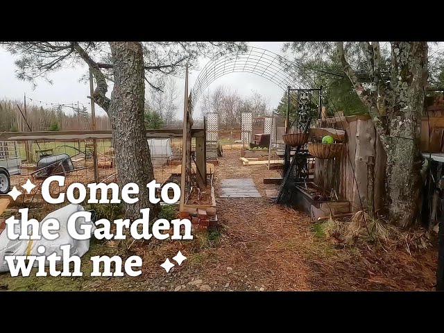 Quick Garden TOUR [Early Spring]