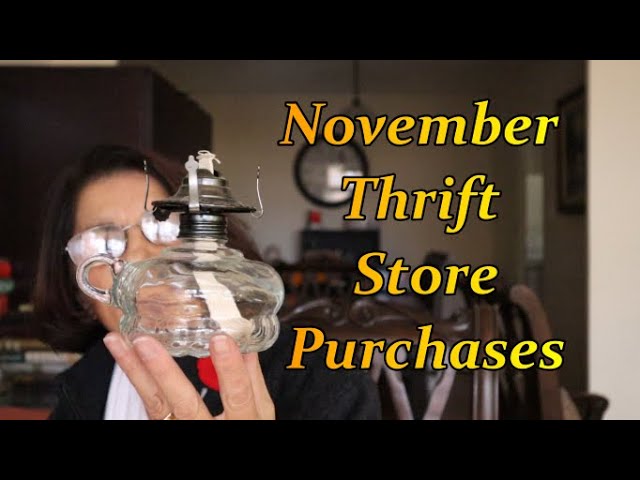 November Thrift Store Purchases