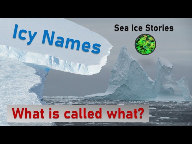 Icy Nomenclature: Which name for which ice?
