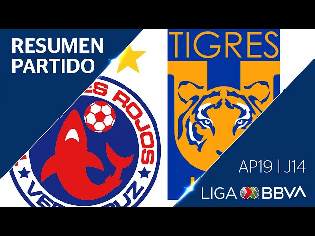 Resumen | Veracruz vs Tigres UANL | Jornada 14 - Apertura 2019  | Liga BBVA MX