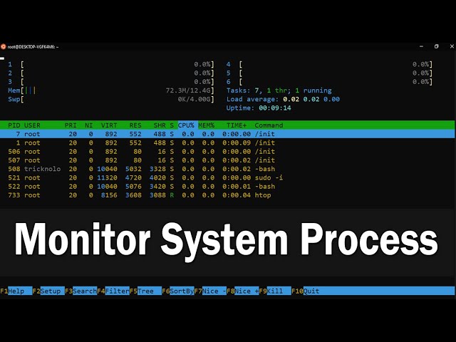 How to Monitor System Processes Using Htop
