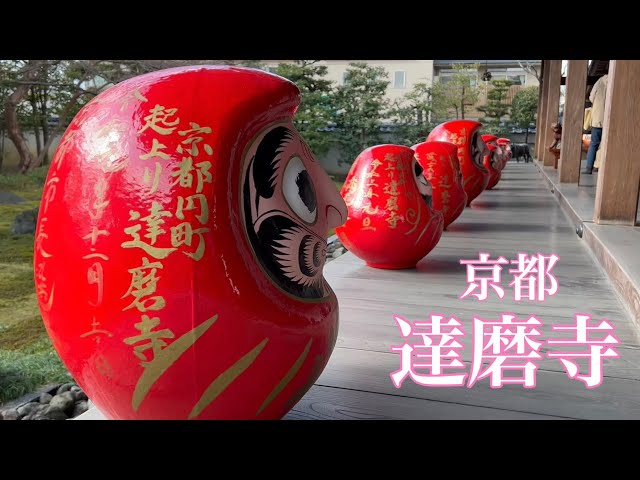 【4K】【節分の京都を巡る】達磨寺の節分会を散策 Touring Kyoto 2022年2月3日