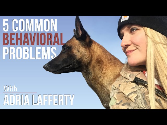 Get the Behaved Dog You've Always Wanted: Secrets from a Top Trainer - Adria Lafferty | Episode 12
