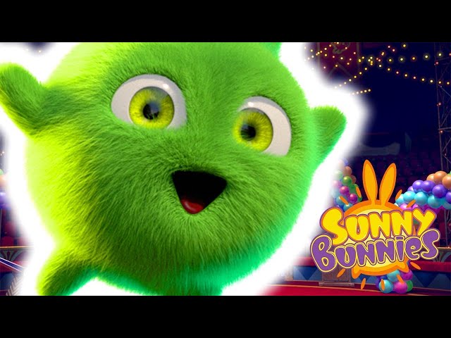 Sunny Bunnies - Conejitos Mágicos | Dibujos animados para niños | WildBrain en Español