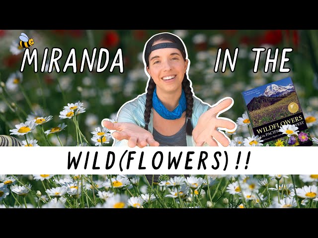 I Went Hunting for WILDFLOWERS! | Miranda in the Wild