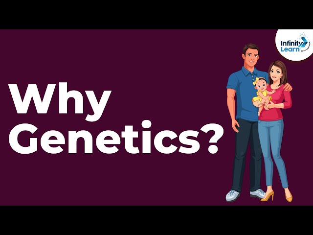 Why Genetics? - Lesson 1 | Don't Memorise