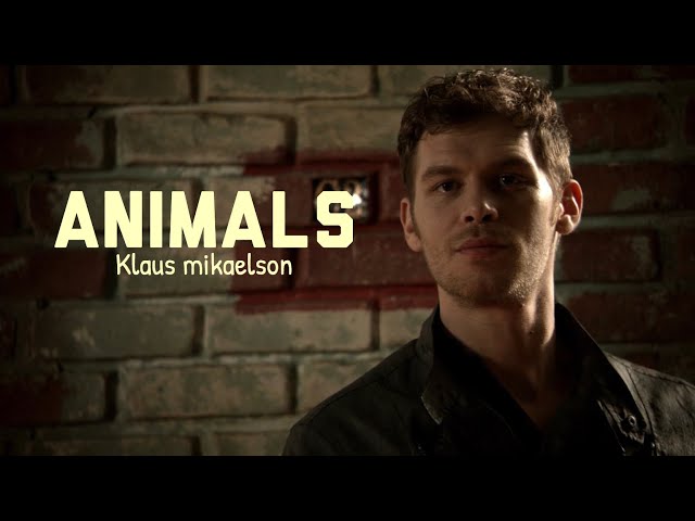 Klaus Mikaelson || Animals