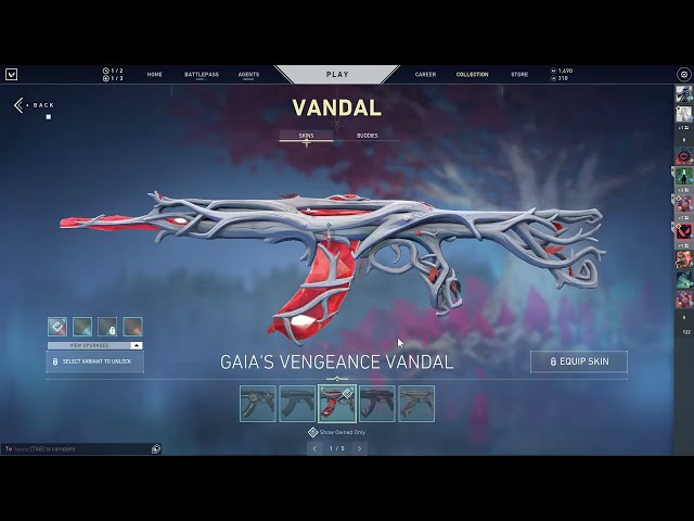 My Valorant Skin Collection