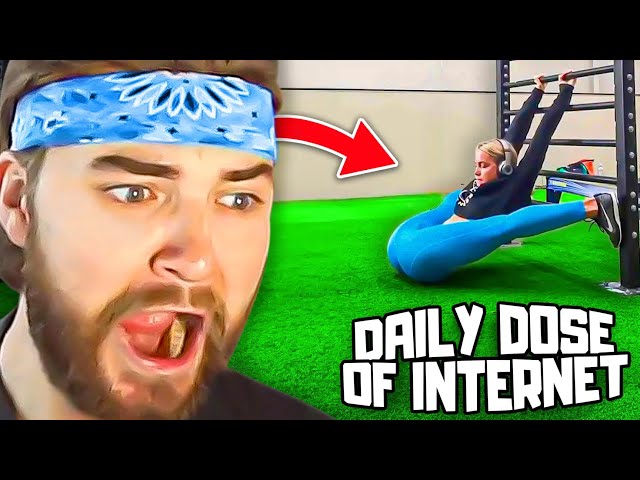 KingWoolz Reacts to DAILY DOSE OF INTERNET Wild Clips!!
