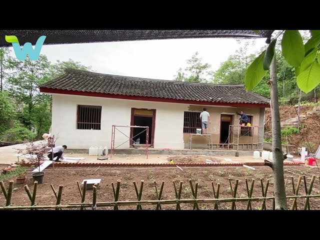 Renovating and repairing of old house & garden in the countryside | WU Vlog ▶ 46